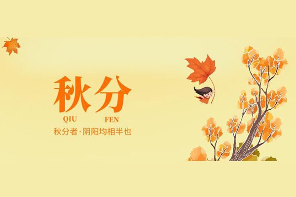  黃貓板材 | 一夜秋聲轉(zhuǎn)，夜夜增時(shí)長